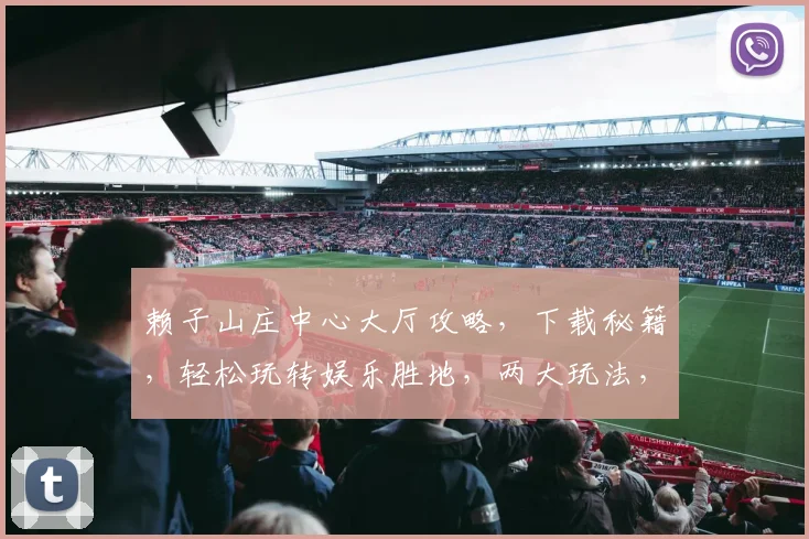赖子山庄中心大厅攻略，下载秘籍，轻松玩转娱乐胜地，两大玩法，必看