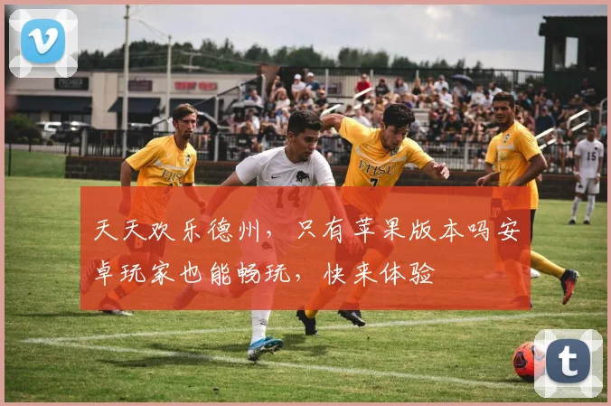 天天欢乐德州，只有苹果版本吗安卓玩家也能畅玩，快来体验