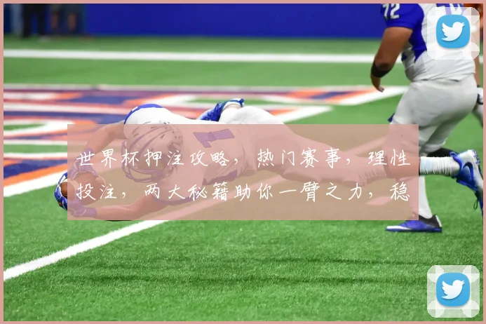 世界杯押注攻略，热门赛事，理性投注，两大秘籍助你一臂之力，稳中求胜