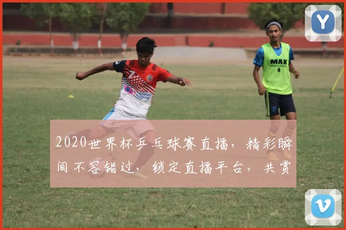 2020世界杯乒乓球赛直播，精彩瞬间不容错过，锁定直播平台，共赏精彩对决
