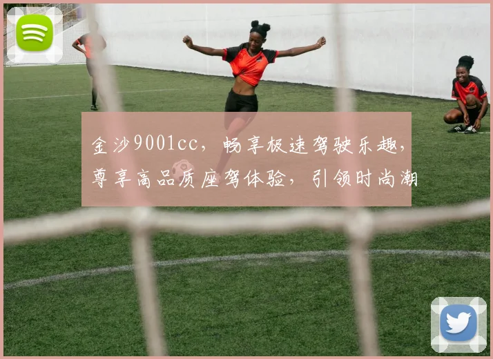 金沙9001cc，畅享极速驾驶乐趣，尊享高品质座驾体验，引领时尚潮流